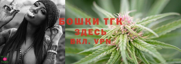 ешки Пестово