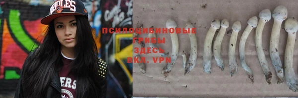 ешки Пестово