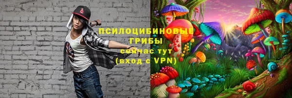 гидра Пересвет