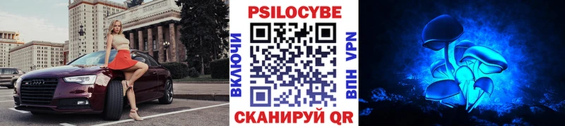магазин  наркотиков  Старая Русса  Галлюциногенные грибы Psilocybe 