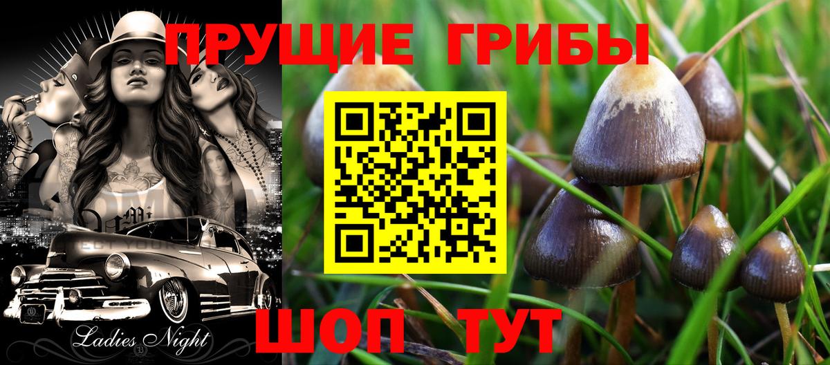 Старая Русса  Галлюциногенные грибы Psilocybe  цены наркотик  Вход с VPN  Псилоцибиновые грибы мицелий 